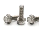 Stainless Steel Hexagonal Flange Bolt